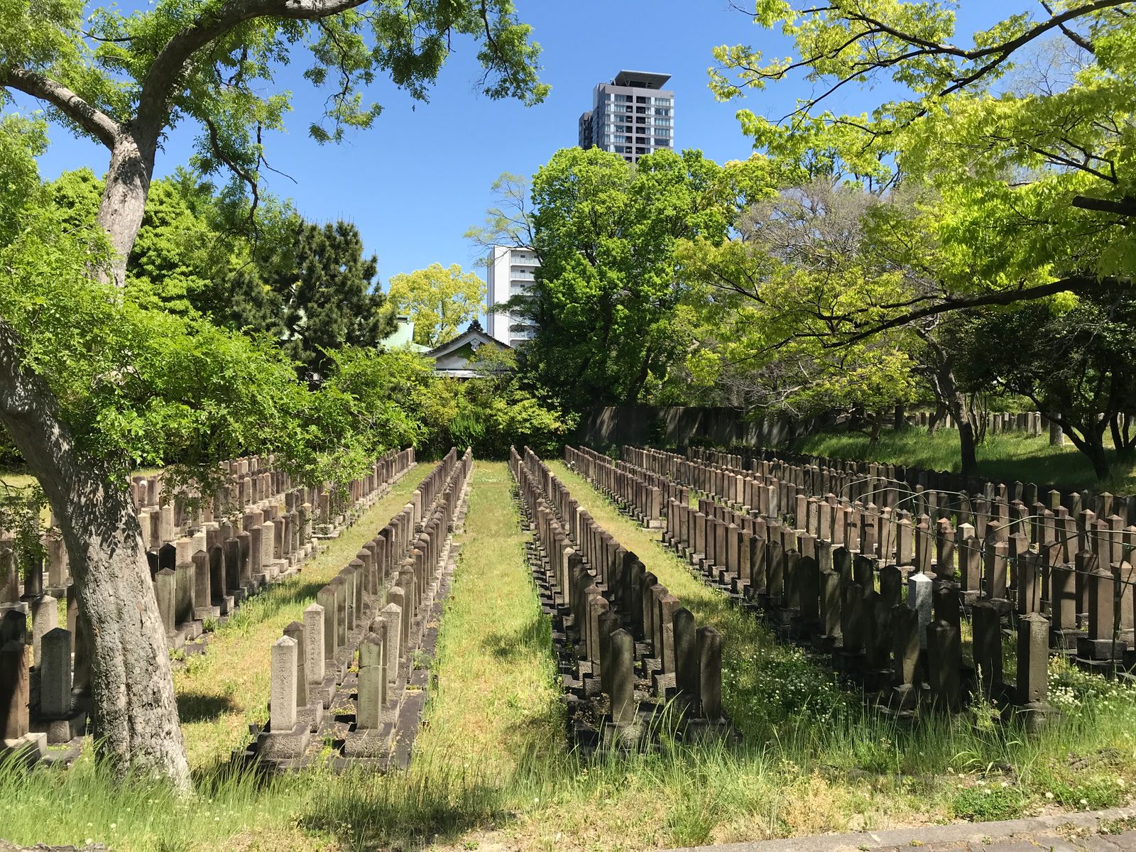 木立に囲まれた墓所