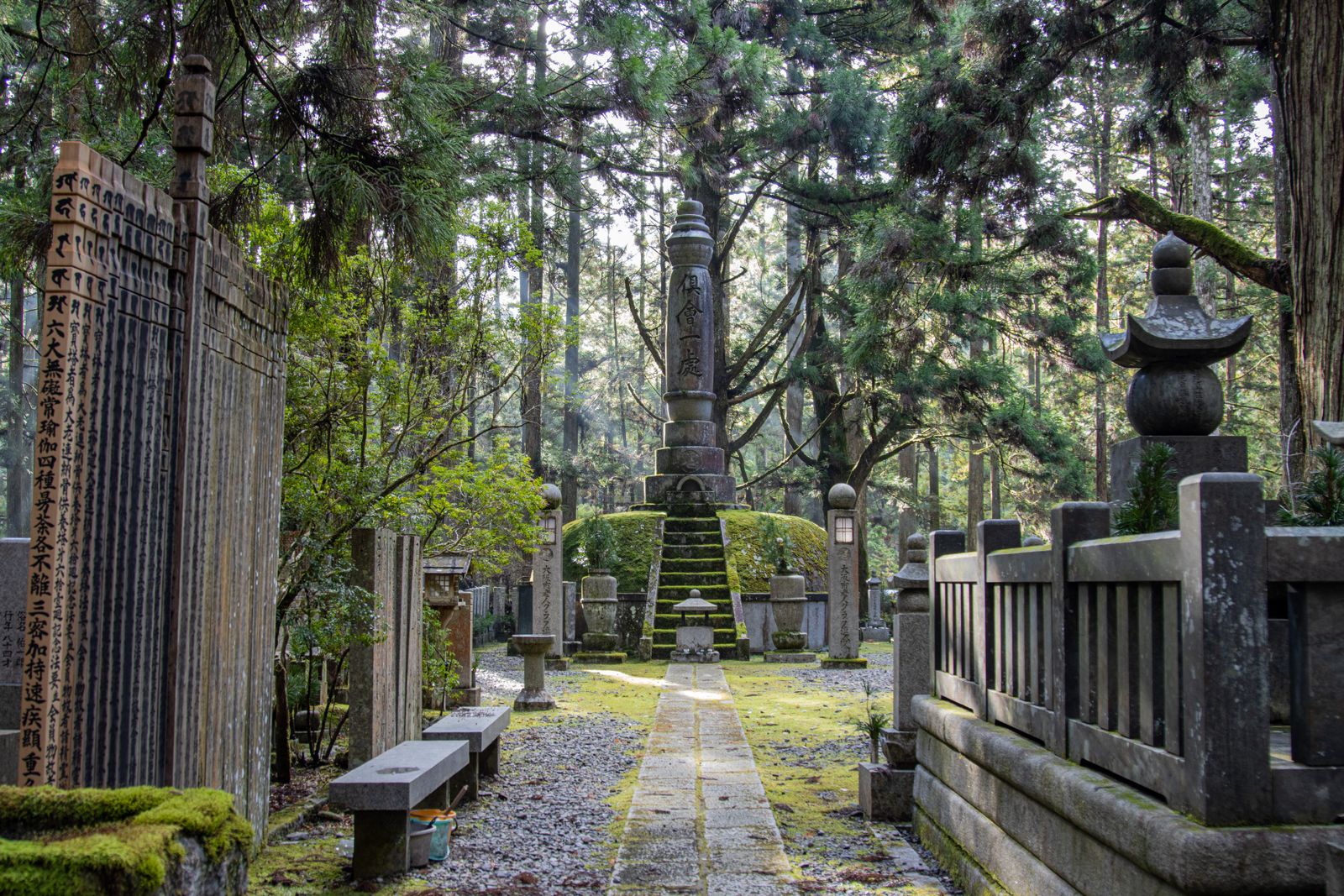 杉木立のなかの石塔