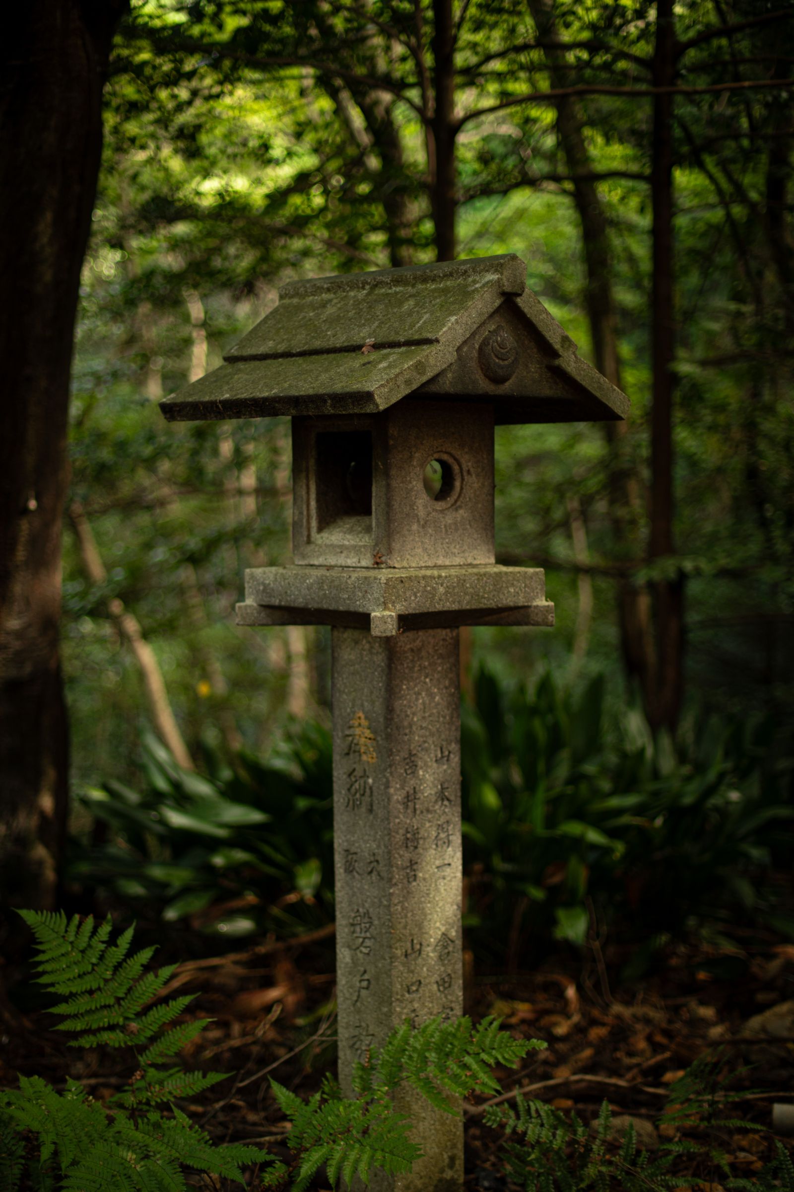 森のなかの石灯籠